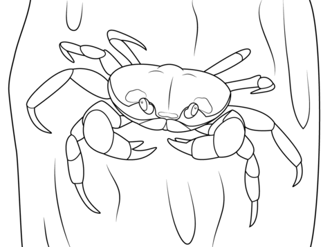 Halloween Crab Coloring Page